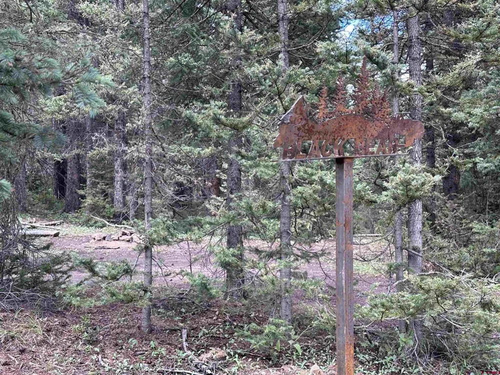 2 Overland Estates, CR 110 Silverton, CO 81433