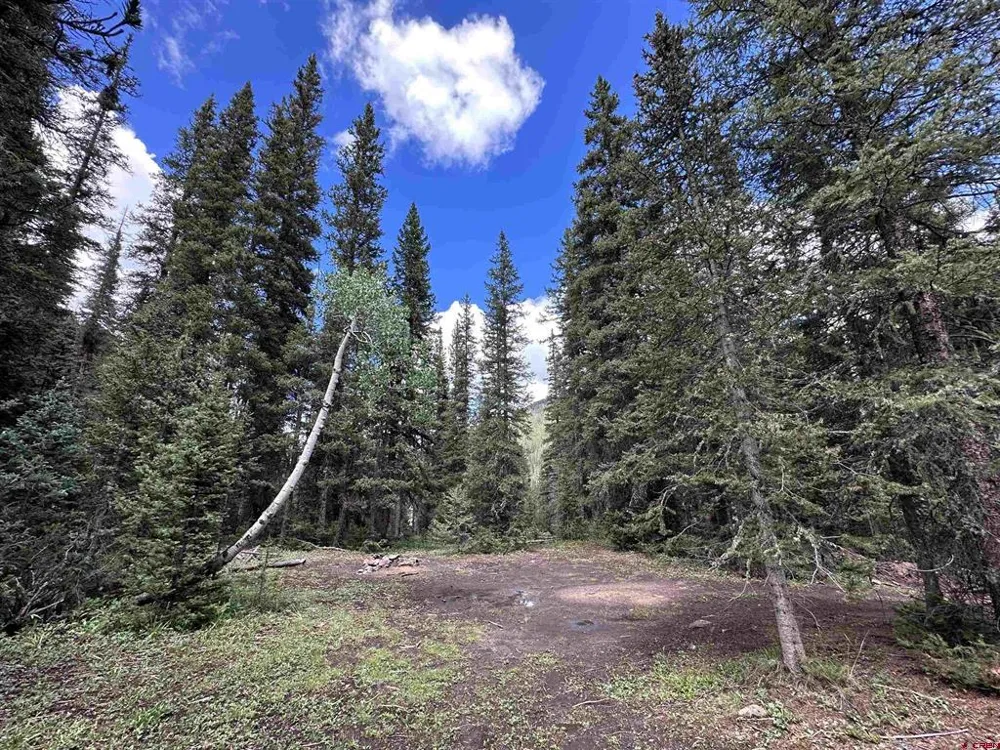 2 Overland Estates, CR 110 Silverton, CO 81433