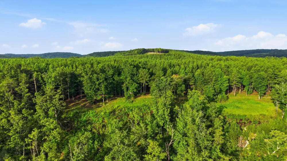 Worley Road Soddy Daisy, TN 37379