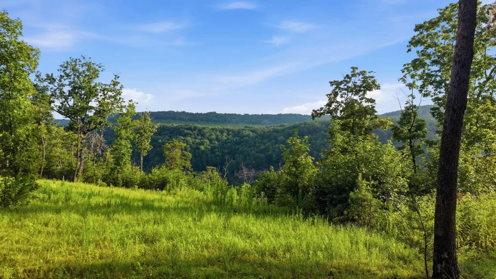 Worley Road Soddy Daisy, TN 37379