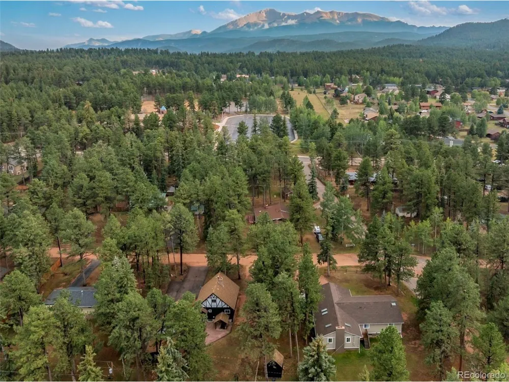 220 Wildflower Drive Woodland Park, CO 80863