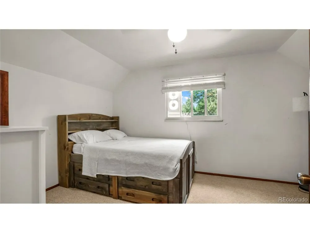 220 Wildflower Drive Woodland Park, CO 80863