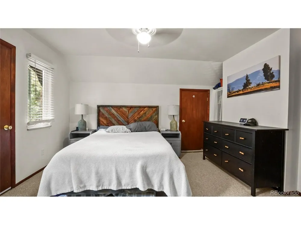 220 Wildflower Drive Woodland Park, CO 80863