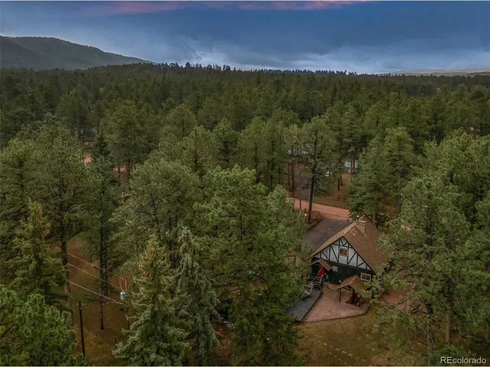 220 Wildflower Drive Woodland Park, CO 80863