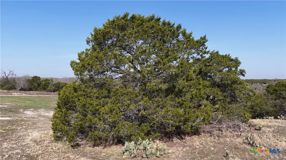 30 Cr 252 Bertram, TX 78605