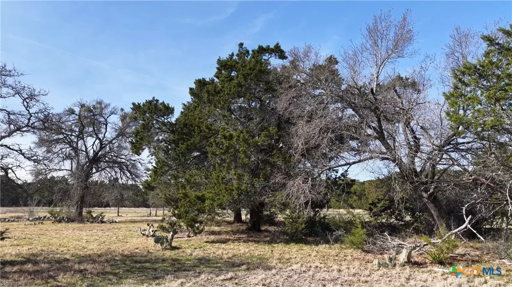 30 Cr 252 Bertram, TX 78605