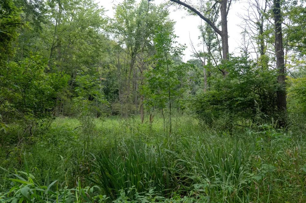 12680 Day Road Hudson, MI 49247