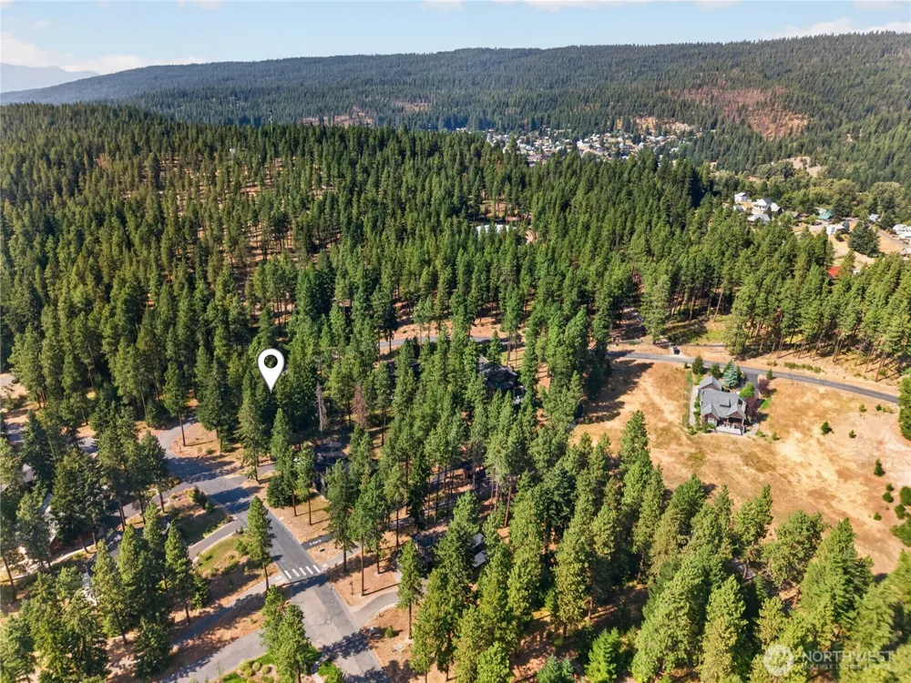 1051 Steam Gin Loop Cle Elum, WA 98922