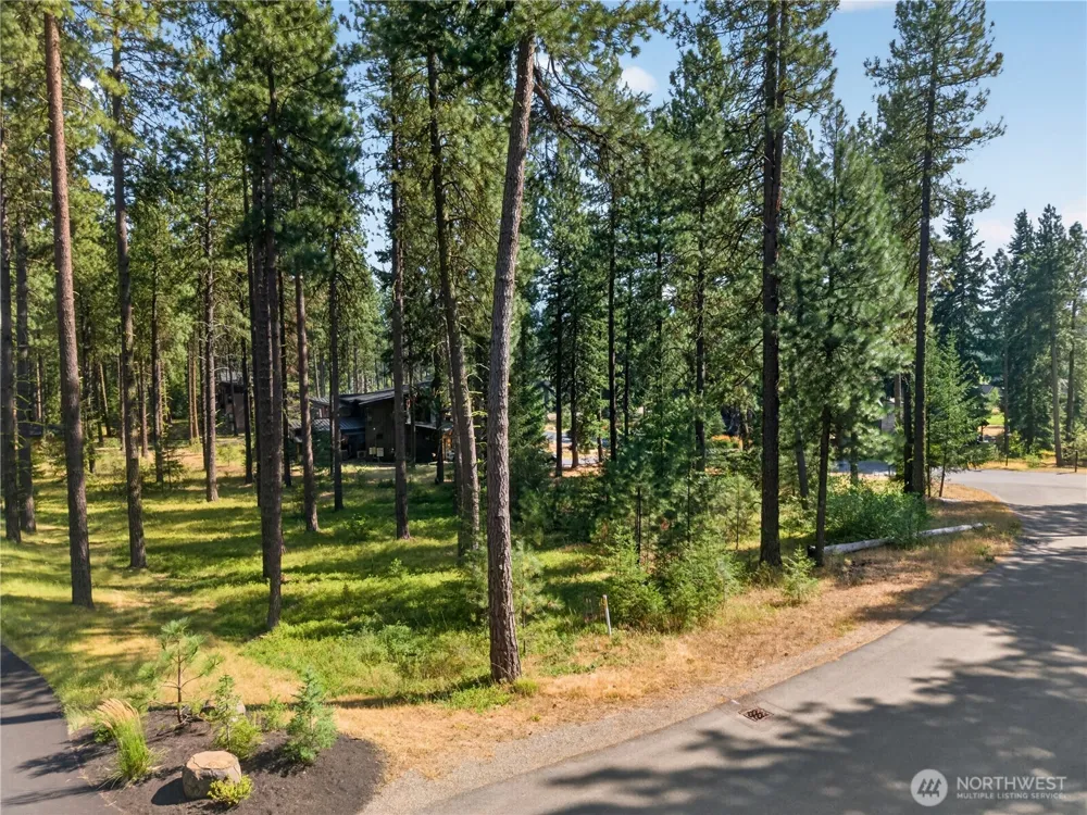 1051 Steam Gin Loop Cle Elum, WA 98922
