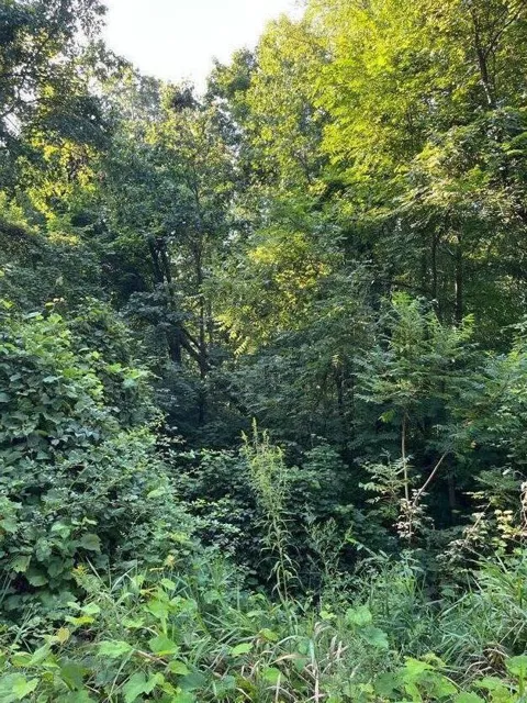 VL Summit Drive