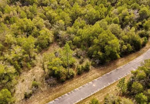 lot #41 DANDELION DRIVE