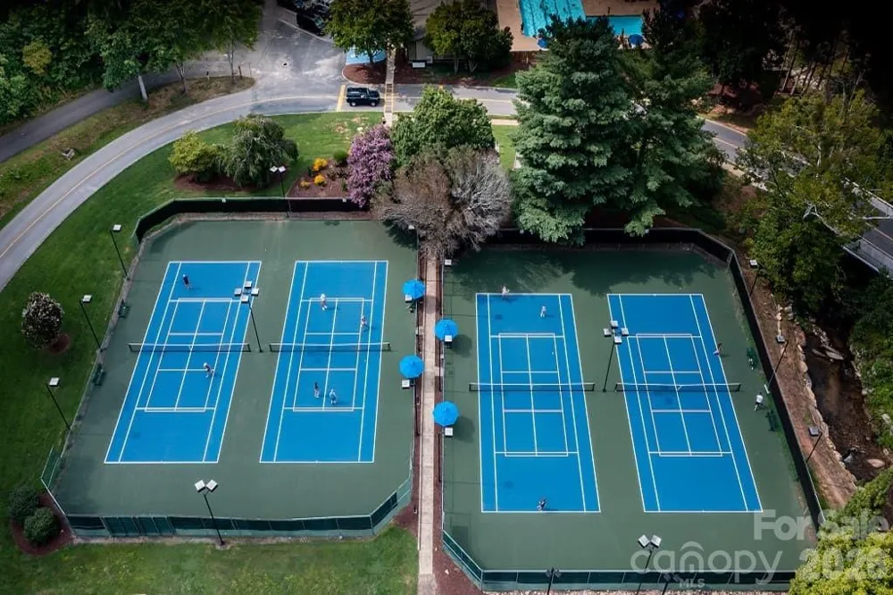 127 White Pine Drive Lake Lure, NC 28746