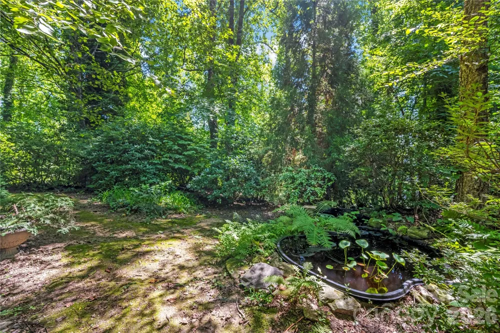 520 Esseola Street Saluda, NC 28773