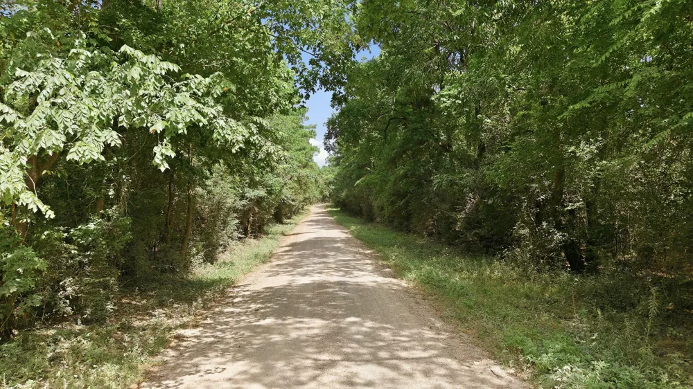 Us Highway 59 Livingston, TX 77351