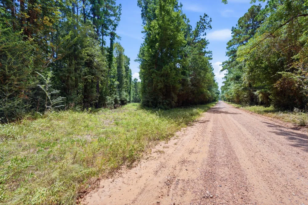 Us Highway 59 Livingston, TX 77351