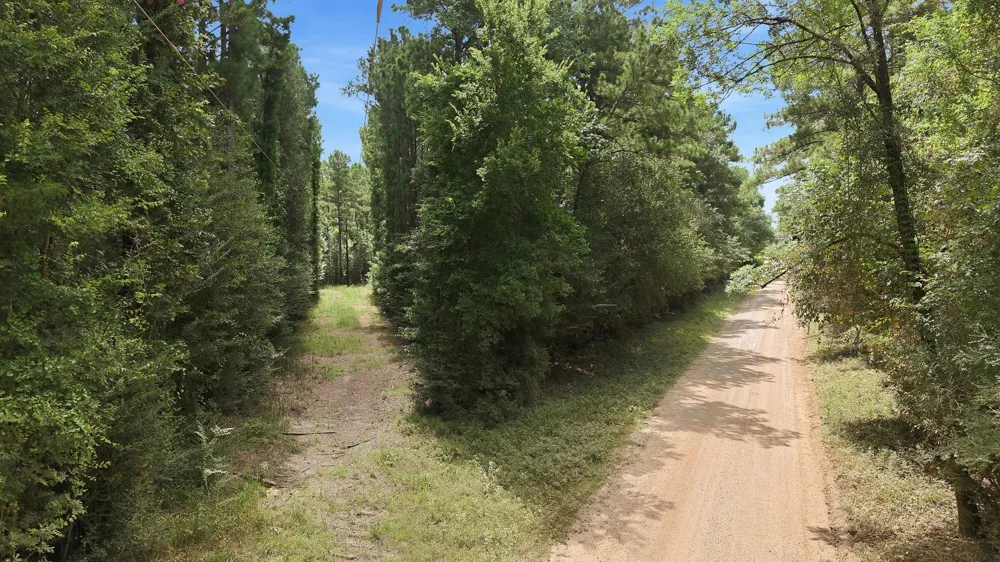 Us Highway 59 Livingston, TX 77351