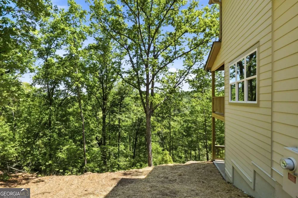1600 Dover DR Ranger, GA 30734