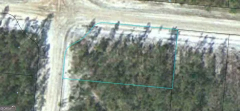 LOT 11 Satilla Plantation