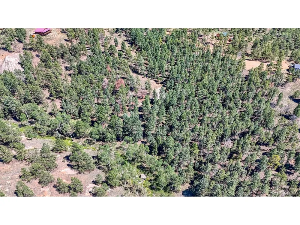 105 Carlton Circle Florissant, CO 80816