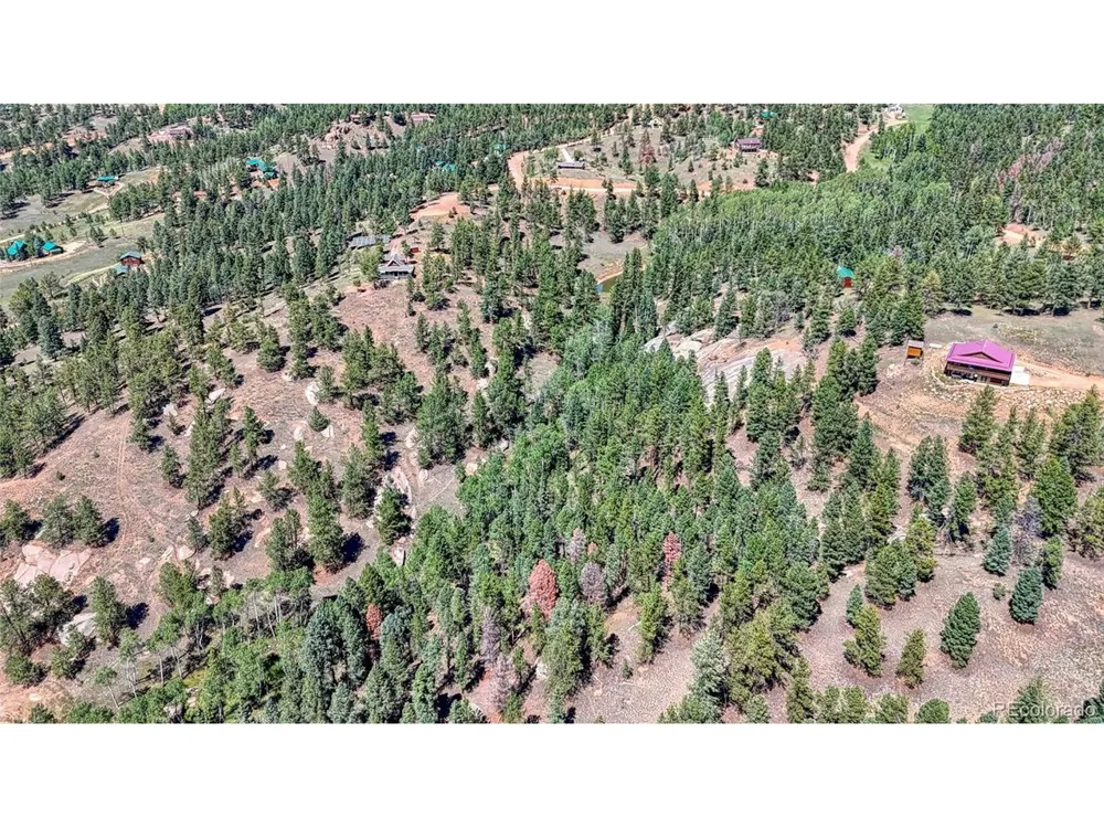 105 Carlton Circle Florissant, CO 80816