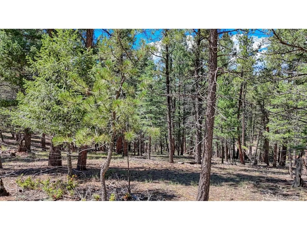 105 Carlton Circle Florissant, CO 80816