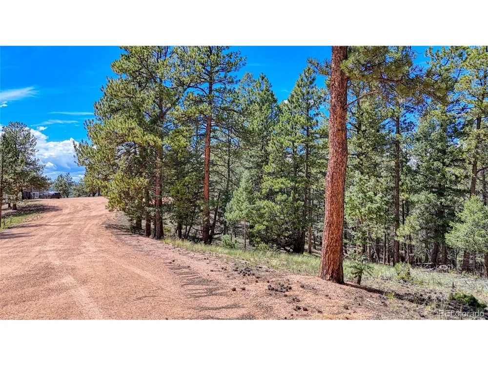 105 Carlton Circle Florissant, CO 80816