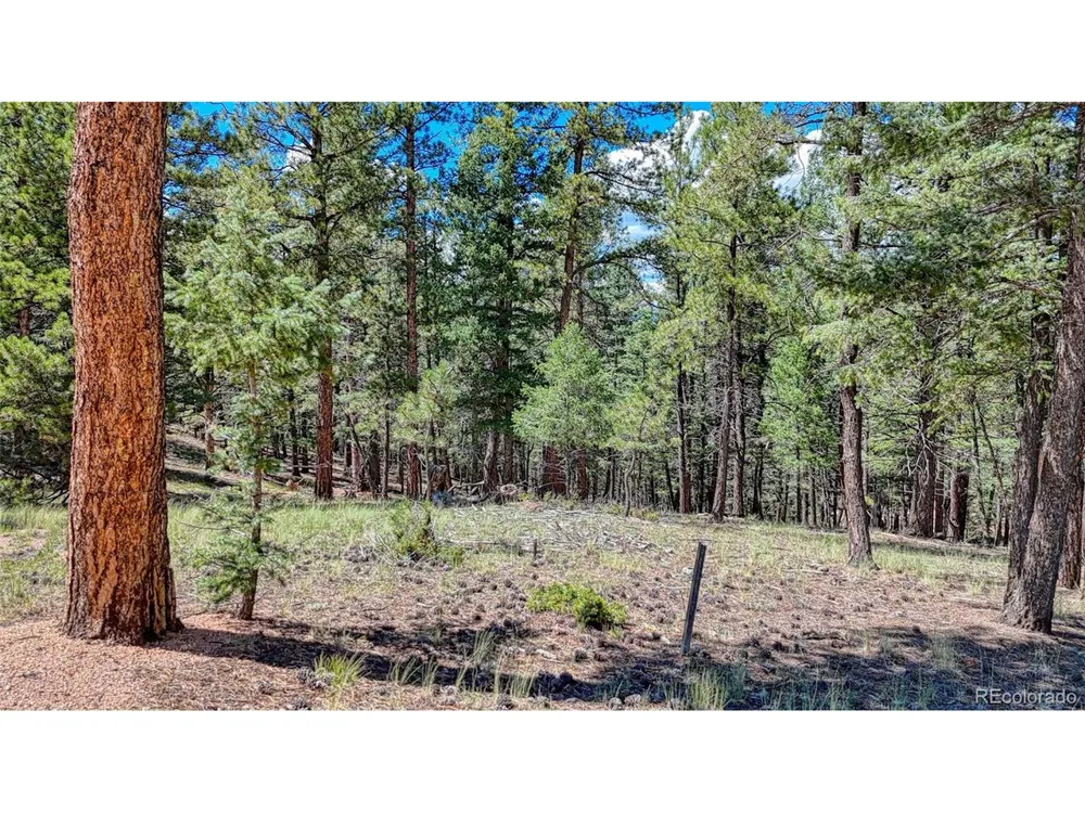 105 Carlton Circle Florissant, CO 80816