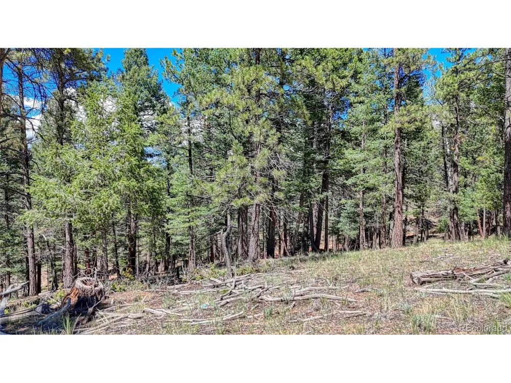 105 Carlton Circle Florissant, CO 80816