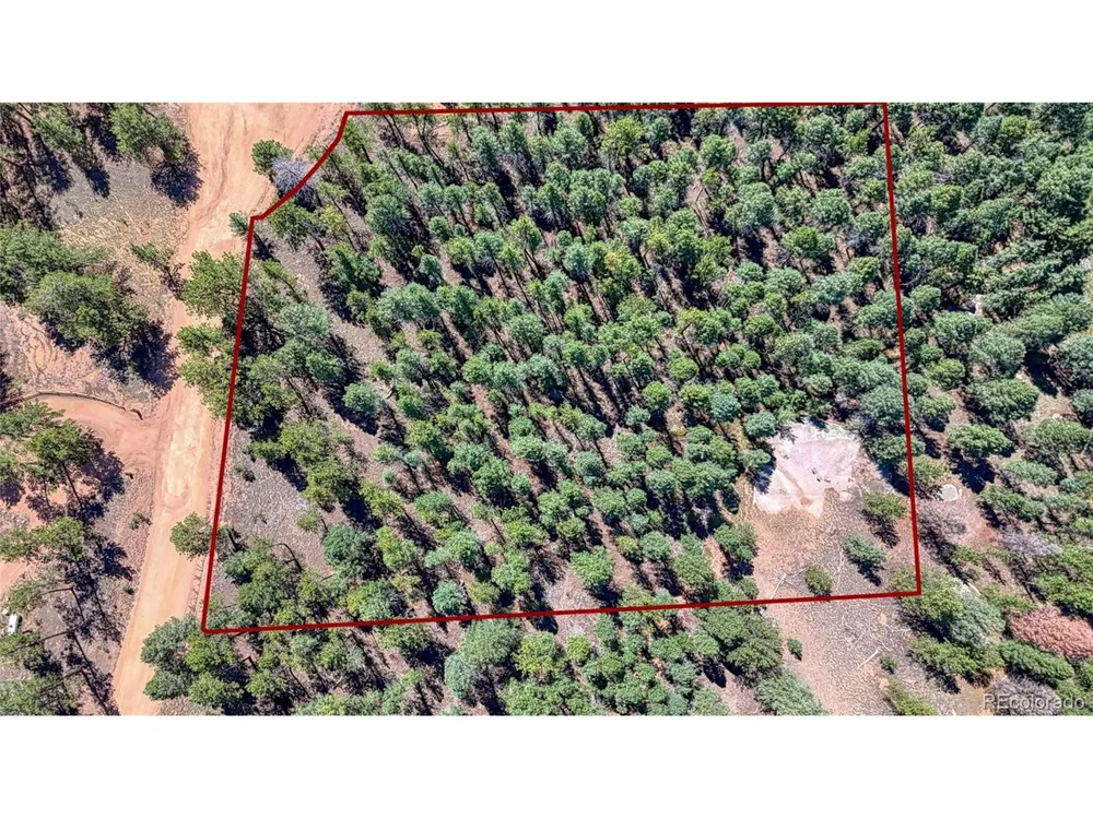 105 Carlton Circle Florissant, CO 80816