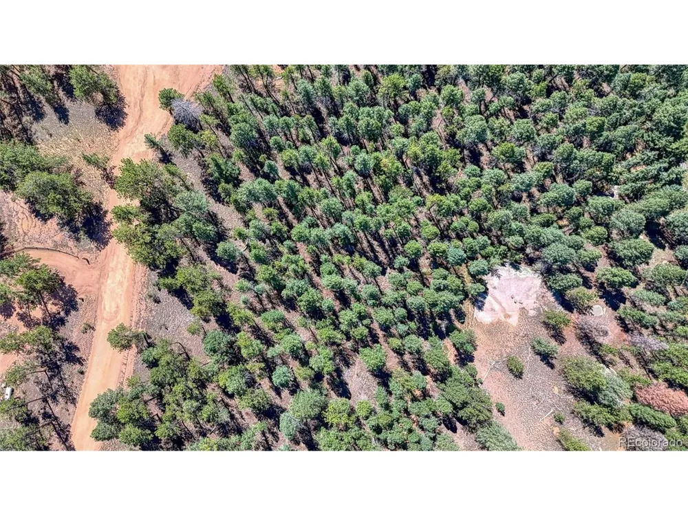 105 Carlton Circle Florissant, CO 80816