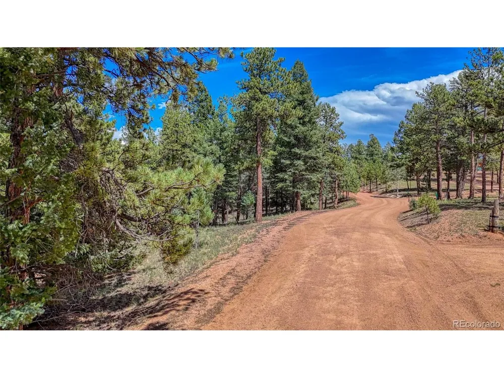 105 Carlton Circle Florissant, CO 80816