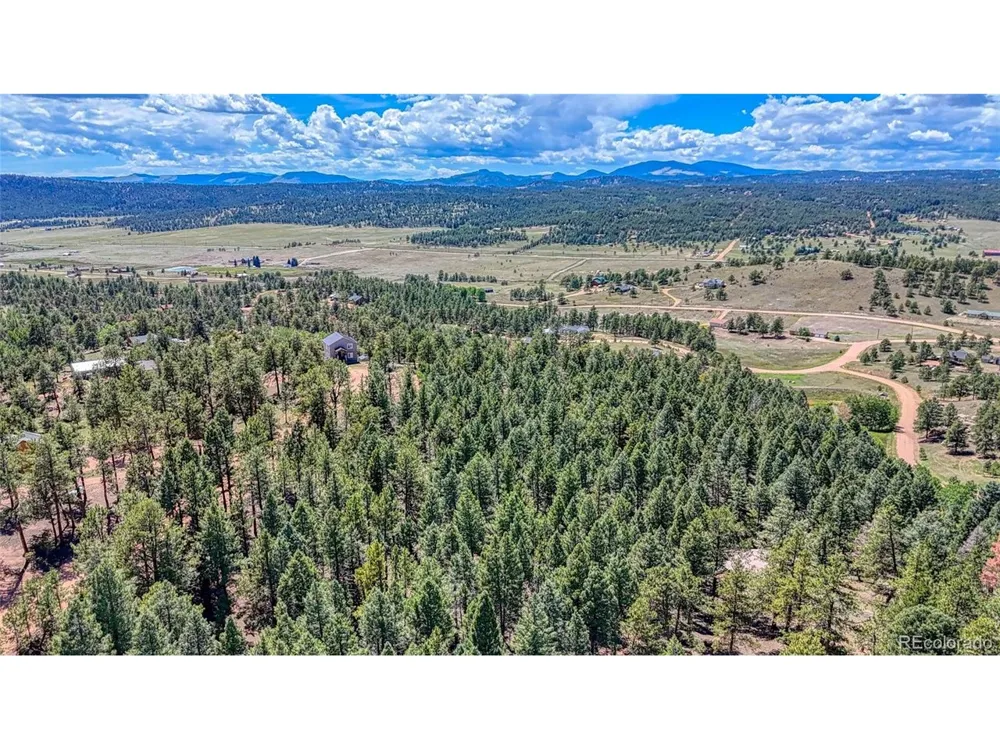105 Carlton Circle Florissant, CO 80816