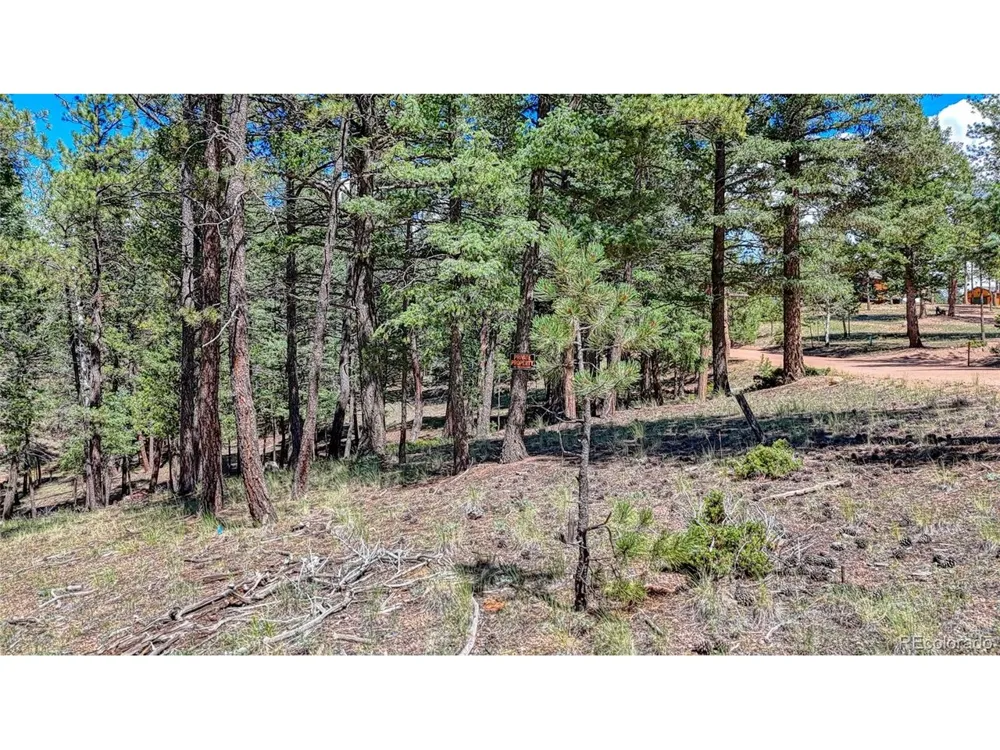 105 Carlton Circle Florissant, CO 80816