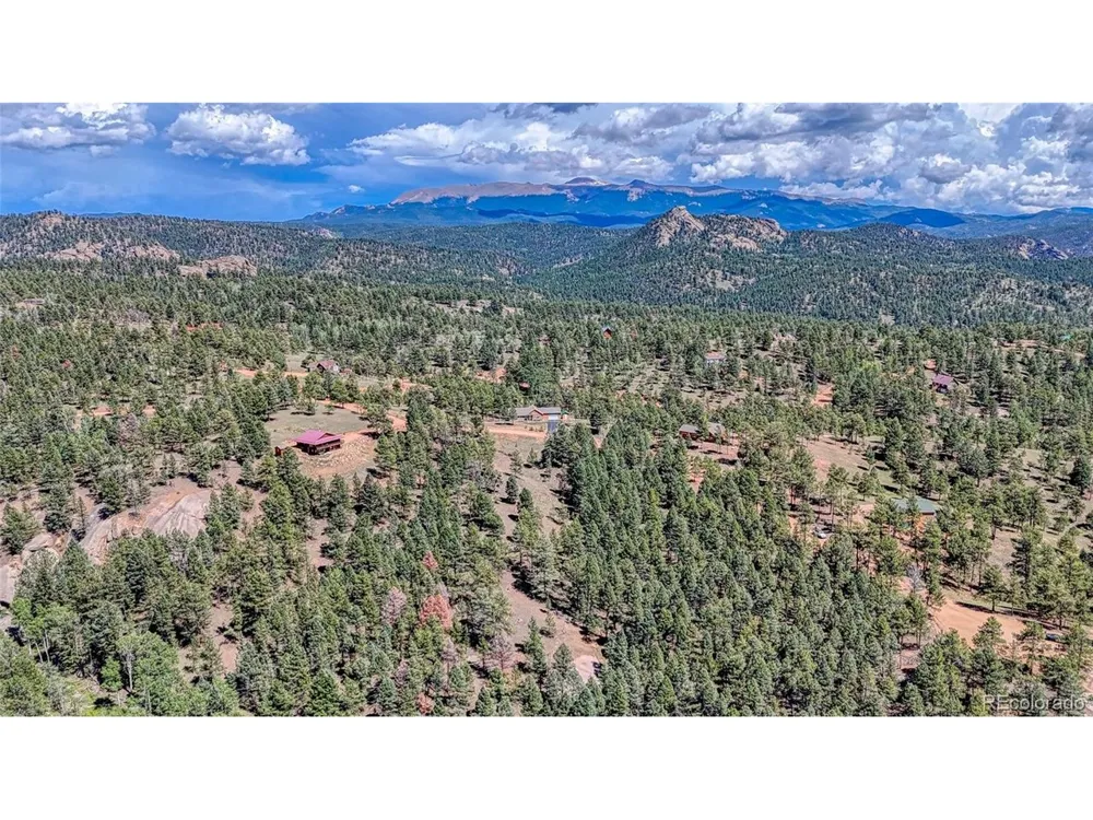 105 Carlton Circle Florissant, CO 80816