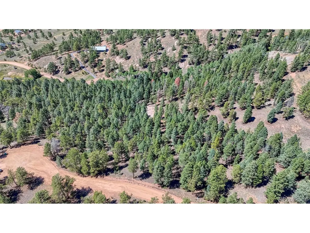 105 Carlton Circle Florissant, CO 80816