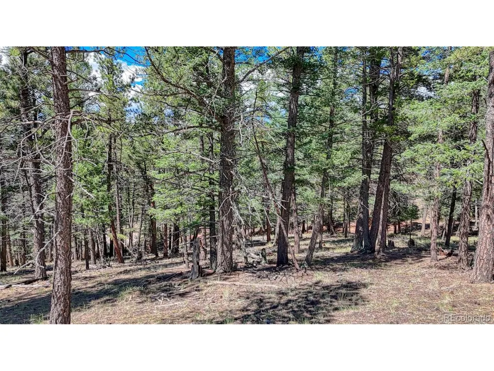 105 Carlton Circle Florissant, CO 80816