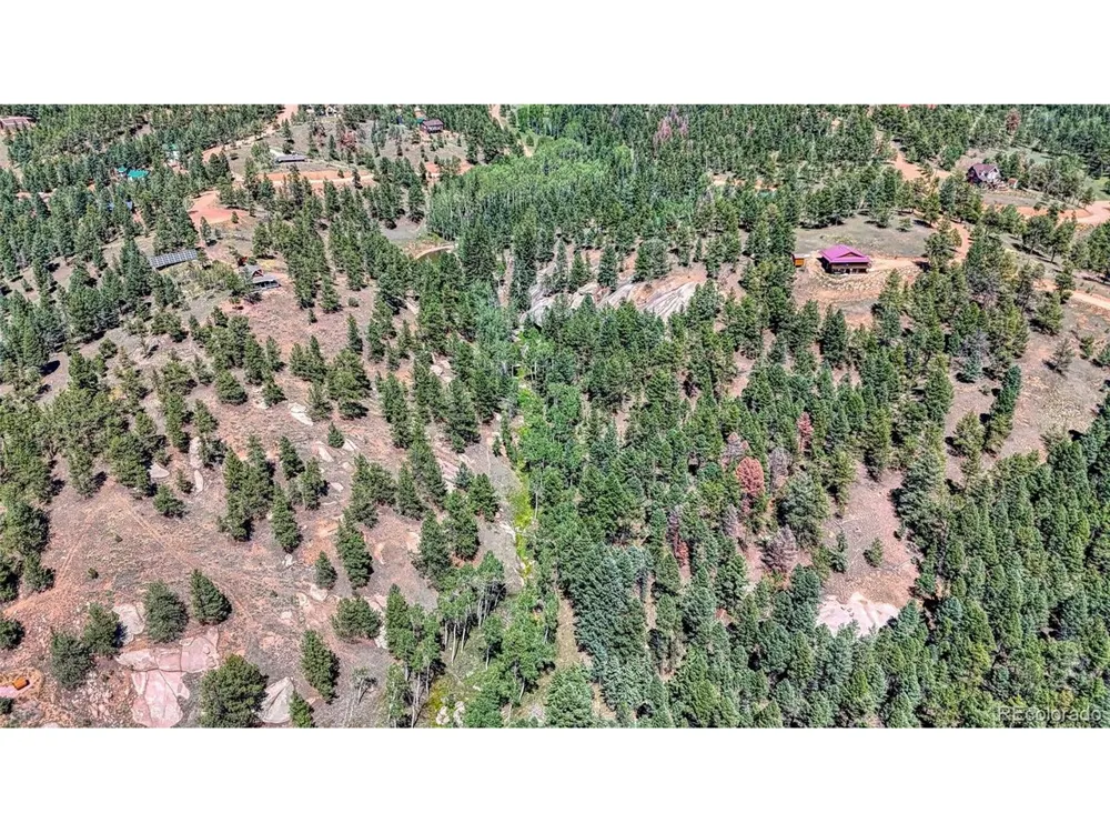 105 Carlton Circle Florissant, CO 80816