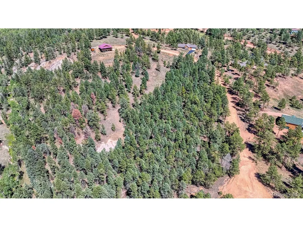 105 Carlton Circle Florissant, CO 80816