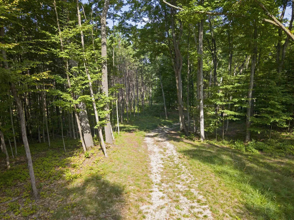 3037 Dockery Road, Nw Kalkaska Township, MI 49690