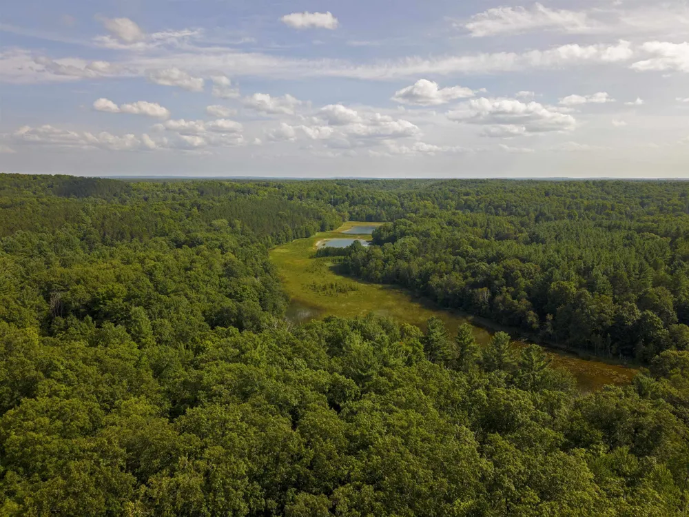 3037 Dockery Road, Nw Kalkaska Township, MI 49690