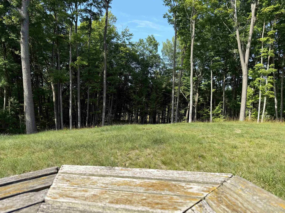 3037 Dockery Road, Nw Kalkaska Township, MI 49690