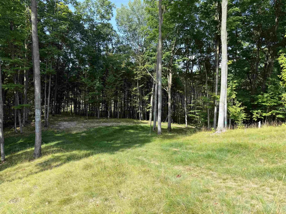 3037 Dockery Road, Nw Kalkaska Township, MI 49690