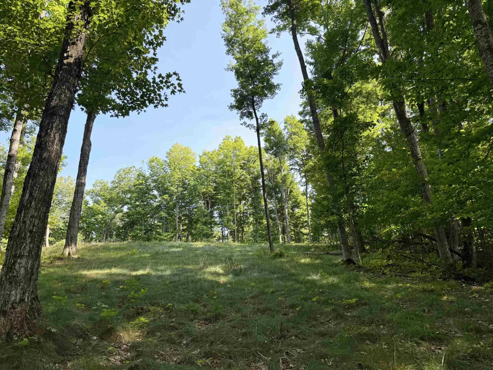 3037 Dockery Road, Nw Kalkaska Township, MI 49690