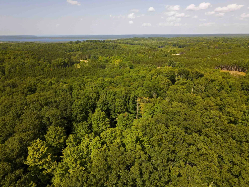 3037 Dockery Road, Nw Kalkaska Township, MI 49690