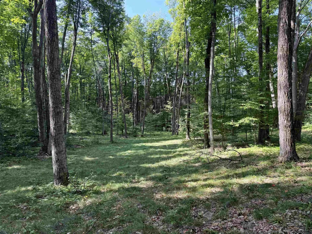 3037 Dockery Road, Nw Kalkaska Township, MI 49690