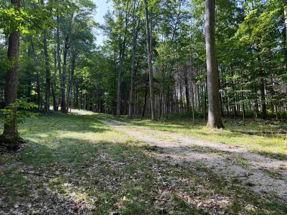 3037 Dockery Road, Nw Kalkaska Township, MI 49690