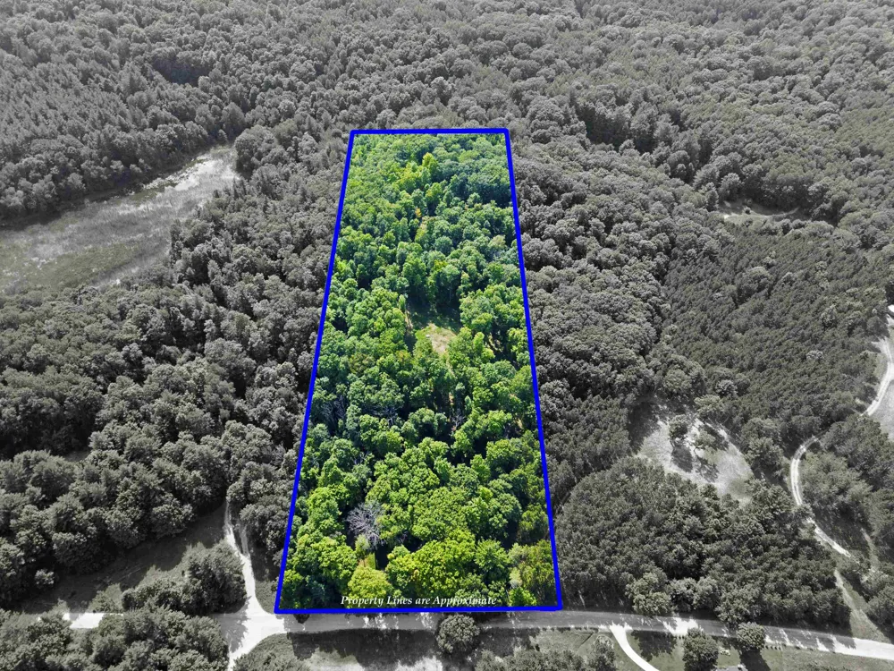 3037 Dockery Road, Nw Kalkaska Township, MI 49690