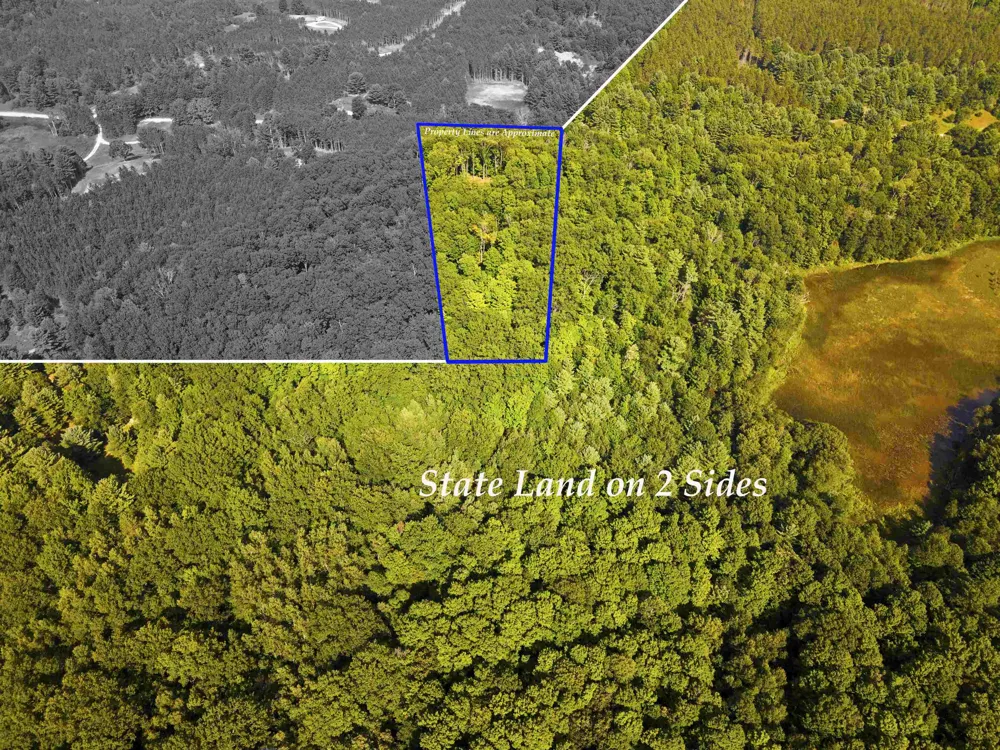3037 Dockery Road, Nw Kalkaska Township, MI 49690