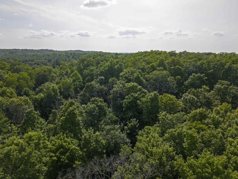 3037 Dockery Road, Nw Kalkaska Township, MI 49690