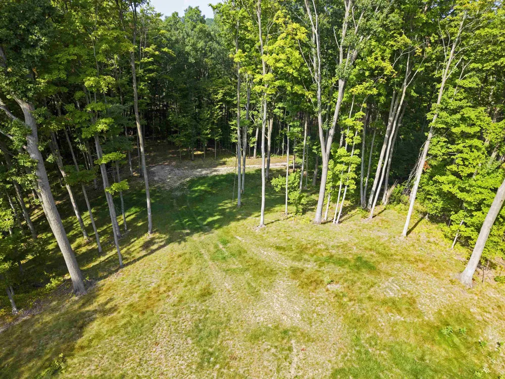 3037 Dockery Road, Nw Kalkaska Township, MI 49690
